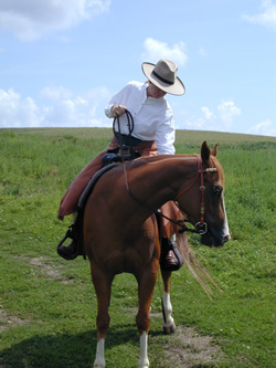 As Wendy reaches to draw on the rein, she demonstrates collapsing in the rib cage. To begin with, you can practice the movements for a one-rein stop while standing on the ground. Hook your bridle or a lead shank over a post or chair so you can simulate holding the reins. Take a position close to the post so that you have plenty of slack. Stand with your feet about hip-width apart and slightly bent at the knees similar to sitting on your horse. Notice that you will have your feet underneath you, not pushed out in front of you. By placing your feet under you, you can support your body weight. When you are on the horse you will want to be in a similar position. That way you won't be bracing against your horse and creating a resistance. Practicing in front of a mirror will give you visual feedback to see if you are remaining straight and in the middle during the following exercise.  Place the loop of your reins in your left hand for a right hand one-rein stop. Draw 