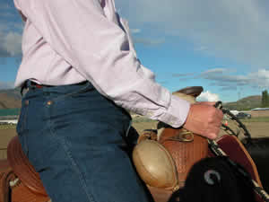 Photo 3. The rider is using the swells on her Western saddle to help her find a solid position. By pressing the pinky side of her softly closed fists forward, towards the horse's mouth she will learn how find her dance frame and stop pulling on her horse's mouth. Now she can adjust her reins to her position instead of her position to the reins.