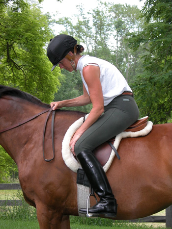 Photo 3. The rider has rounded the back and folded forward at the waist. Her weight is again on the horse's shoulders instead of remaining over his center of gravity. Her head has dropped forward and down from rounding her back. Notice the tension in her rein arm. She is trying to keep her hand on the neck but the arm has contracted and will cause her to pull back instead of being able to push the hand forward.