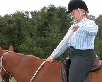 Photo 2. I have drawn my left hand, which is holding the bight, back by taking my left elbow back and away from my body, thereby shortening the reins. Notice that I have continued to press my right fist into the neck.