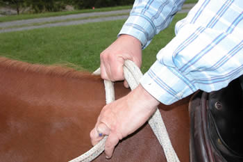 Photo 3. I have dropped the bight and am taking the left rein with my left hand while still maintaining the pressure of my right fist into the horse's neck.