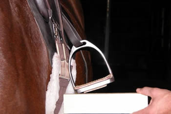 Photo 1. Angled stirrup. The inside of the stirrup is lower due to the short length of the stirrup and the roundness of the horse's body. The board under the stirrup is being held level. The stirrup is significantly higher on the outside.