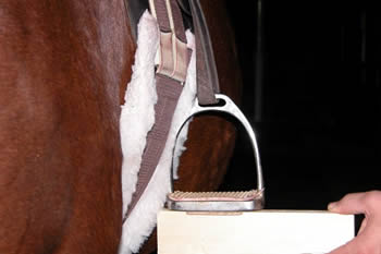 Photo 2. Level English stirrup. This same stirrup has been lowered so that it is below the curve of the horse’s body. It is now completely level to the board held underneath.