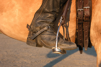 Photo 1. Ankle in good alignment. Nice deep heel for dressage length stirrup. Notice that the foot is evenly weighted