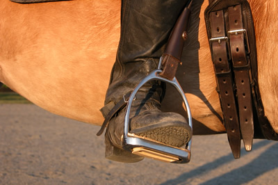 Photo 2.The ankle is jammed down an in, putting a lot of weight in the stirrup. Notice the twist in the stirrup leather. As a result the stirrup is no longer perpendicular to the horse and the rider's foot has turned out. While the heel may appear lower there is little flexibility remaining in the ankle joint to absorb the horse's movement.