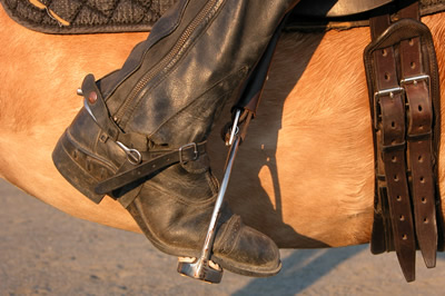 Photo 3. The ankle is cocked out. Notice the increased pressure on the pinky toe. The ankle joint cannot flex in this position, therefore the rider's heel has come up.