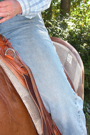 Photo 1. Good thigh position. Notice the even contact of the thigh with the saddle, without gapping or pinching. This provides good weight distribution and support for the rider and allows her seat to follow the motion of the horse.