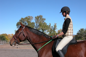 Photo 1. The rider has the strap short enough to keep her elbows near her sides while maintaining a light tension on the strap. She can pull on the strap (rather than the reins) if necessary to help maintain her balance and keep her hands steady.