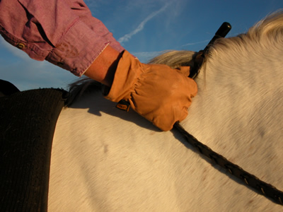 Photo 1. Correct wrist position for a crest release when jumping. Notice the wrists are straight allowing the hand to be in line with the forearm. She is punching an imaginary wall in front of her hand, the fingers of the closed hand rest on the sides of the horse's neck.