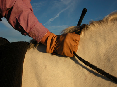 Photo 2. The wrists are cocked in breaking the line from the hand to the forearm. This will cause the rider to pitch forward.