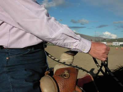 Photo 2. The elbows are too straight. The hands are too far in front of the horn. The rider has thrown the contact away, abandoning the horse and potentially throwing herself and the horse off balance.
