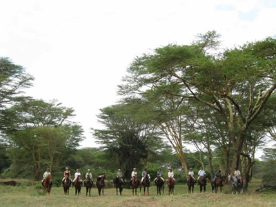 A group photo in a lovely setting