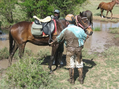 His horse looks clean on this side, wonder what the other side looks like?