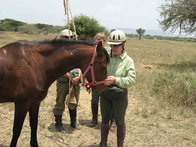 My horse, Kashan, was terrific and she loved the seeds from Heathrow airport.