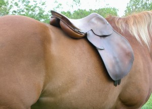 Walk the horse on a straight line. Keep an eye on the saddle as you walk (or have someone walk alongside watching). This saddle is sliding off to the right and will fall on the ground in another step or two. 