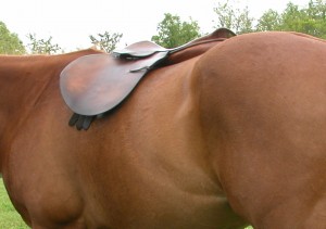 Turn your horse to the right and left. In this photo a turn to the left has caused the saddle slide off to the right. The panel has shifted onto the horse’s spine so the saddle does not pass this basic test.