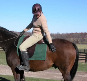 Photo 2. She reaches toward your horse’s flank and stifle. Be careful if you have a sensitive mare.