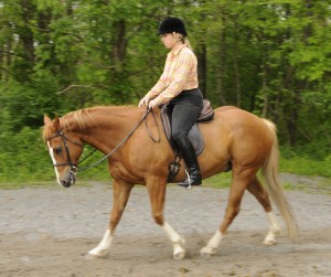 Photo 3. While staying in the middle with my back full and legs underneath me I think of a bungee cord pulling my waist backward. My horse is able to raise his back, drop his head and step back easily because I am not restricting him. 