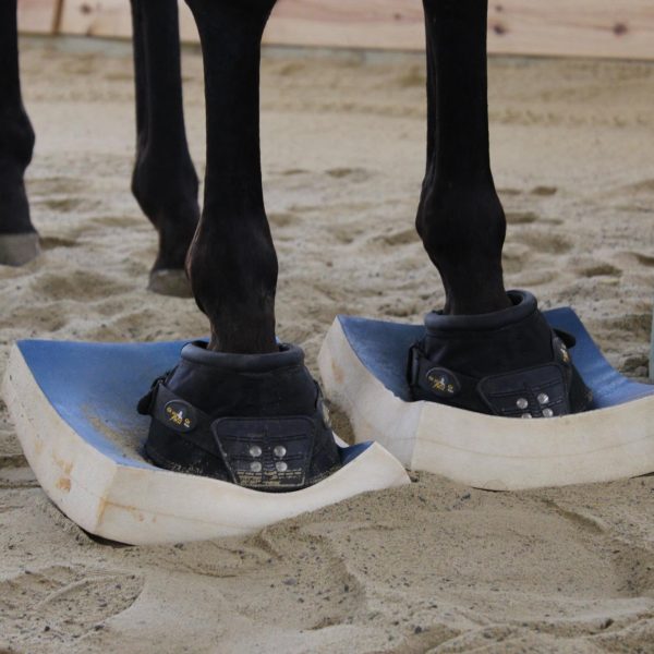 SURE FOOT Equine Stability Program allows horses to overcome old habits ...